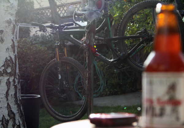 Santa Cruz Solo Workstand