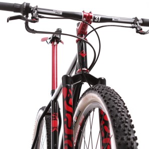 Festka-Rohloff-steel-mtb-lizzard-detail-Tune-3T