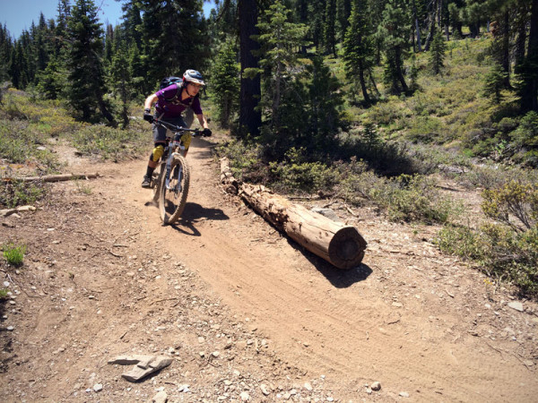 Lapiere-Zesty-327-Saris-Ride-Downieville