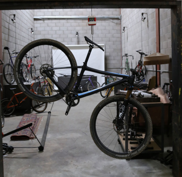 Ibis-Tranny-29-Scale-Shot