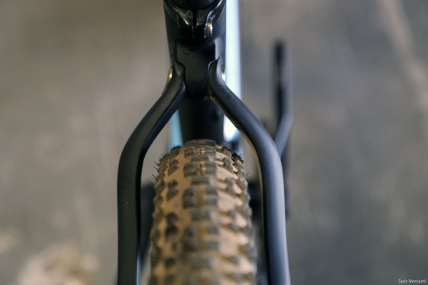Ibis Tranny 29er Glamour Shots (6)