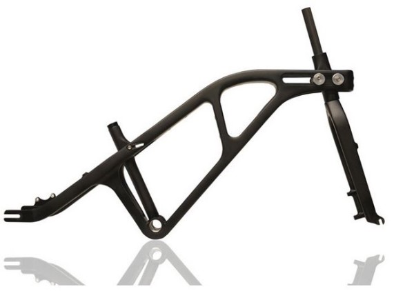 Universal Bike Frame