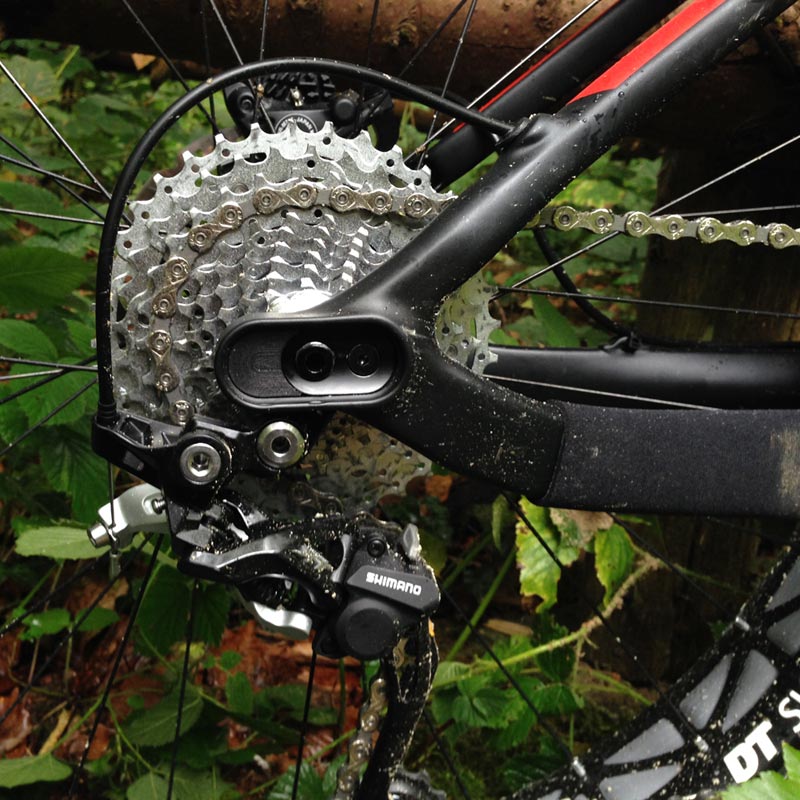 Canyon_Dude_Fat_bike_two_position_dropout