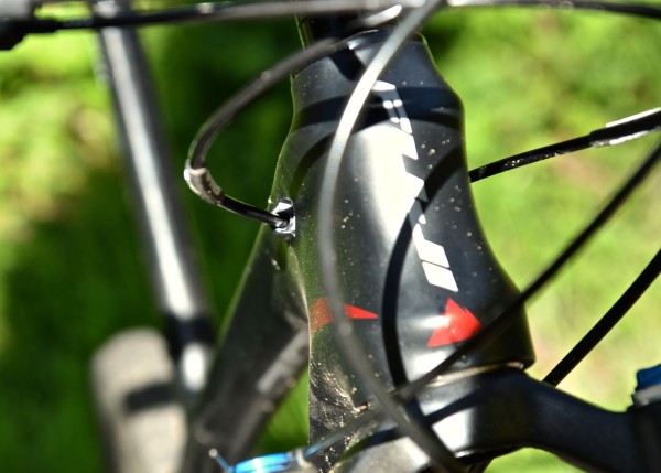 Fuji-SLM-29-1.1-Headtube