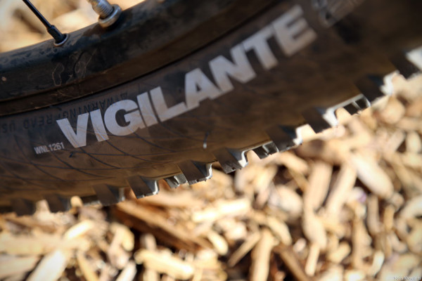 WTB Vigilante Sidewall