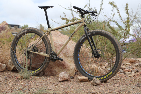 2015 Chumba Stella Ursa (2)
