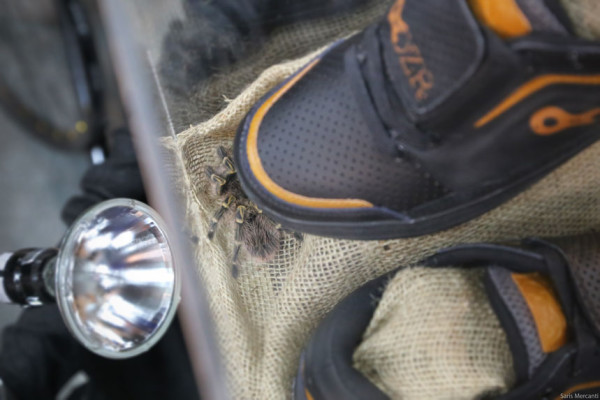 DZR interbike 2014 Booth (2)