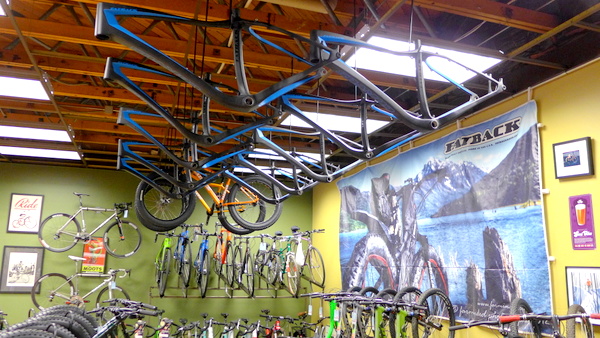 Fatback Corvus Hanging from Ceiling