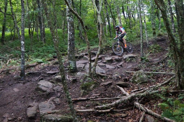 2015 Fox 36 29er suspension fork review and actual weights