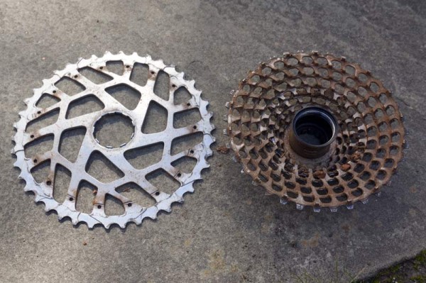 OneUp 44-tooth XX1 replacement cog
