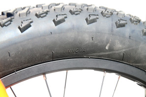 Trek Kids Bikes fuel ex jr fat bike  (15)