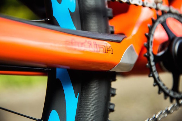 chainstay_protector