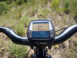 Bosch_NuVinci-hub_e-bike_0004