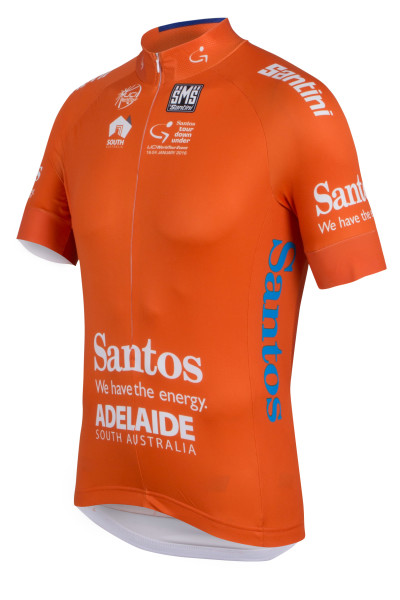 TDU_LEADER