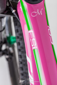 Vlad Sabau bike auction, frame closeup