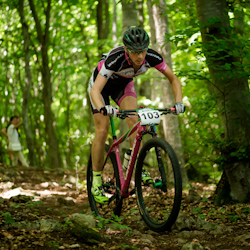 Vlad Sabau bike auction feature image