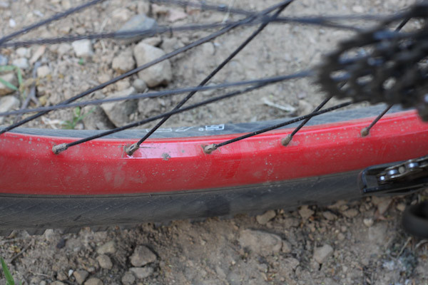 Diamondback Release 3, Blanchard rim