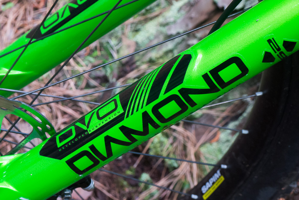 Long term Review: We take DVO’s super adjustable Diamond into the rough