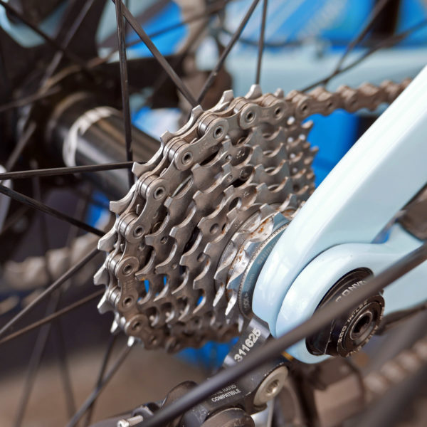 Trek-Session-RSL_Rachel-Atherton-pro-DH-bike_8-speed-cassette
