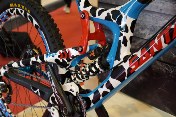 2017-enve-road-bike-fork-12mm-TA-peaty-V10-03