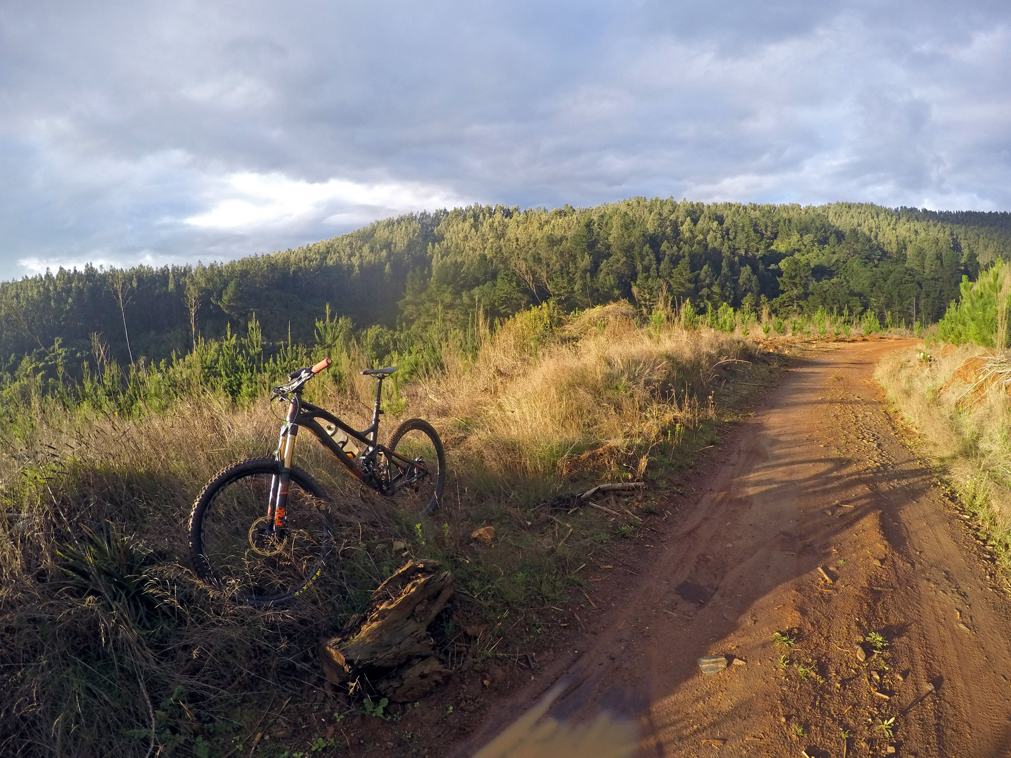 Bikerumor Pic Of The Day: San Pedro de la Paz trail riding, Chile