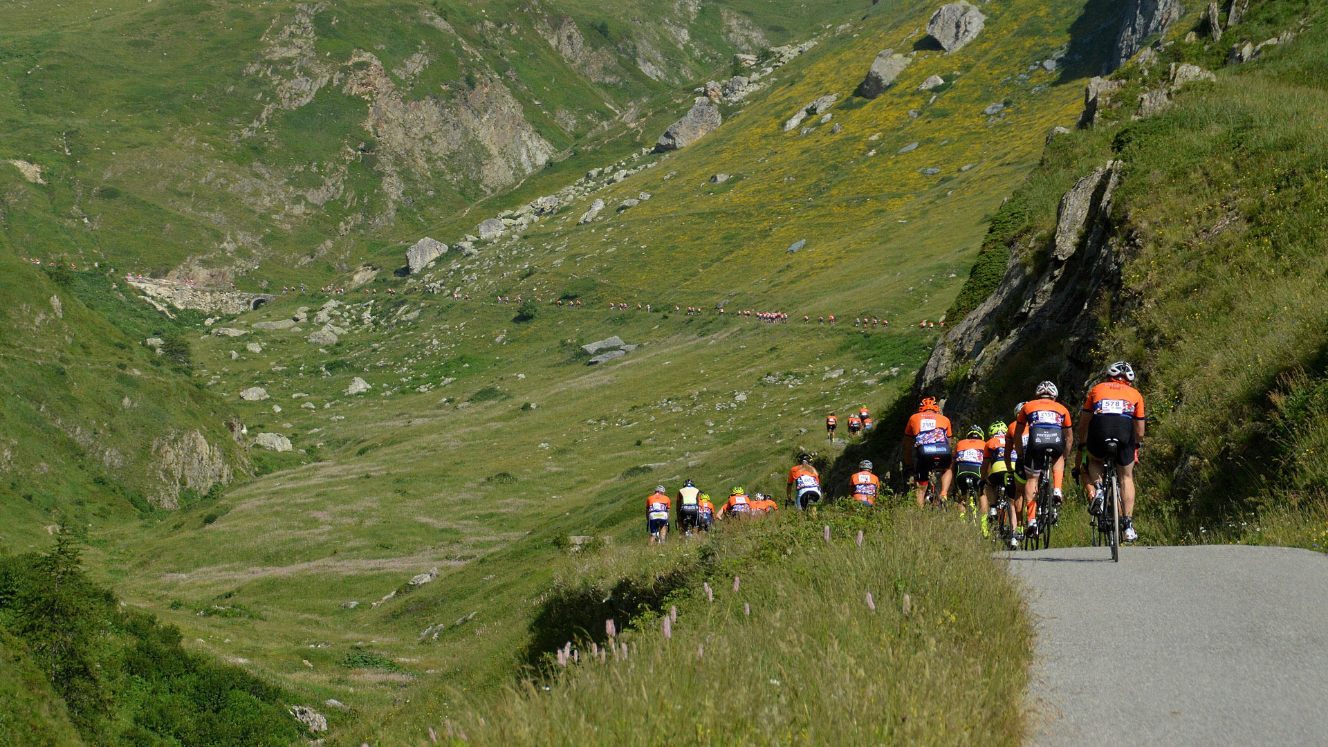 Friday Roundup: Cycling Odds & Ends