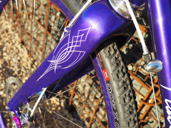 philly-bike-show_erik-noren_peacock-groove-59_r
