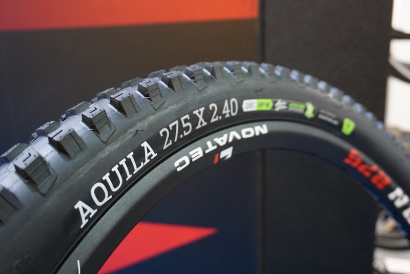 TPE17: New Onza Aquila DH mountain bike tire takes the Gwin, plus new XC treads