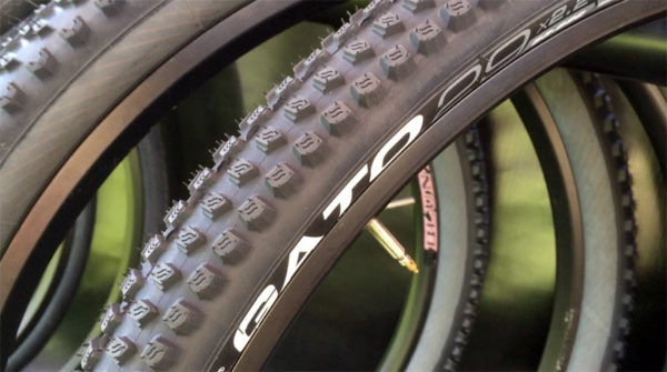 Vittoria Gato all conditions XC race mountain bike tire