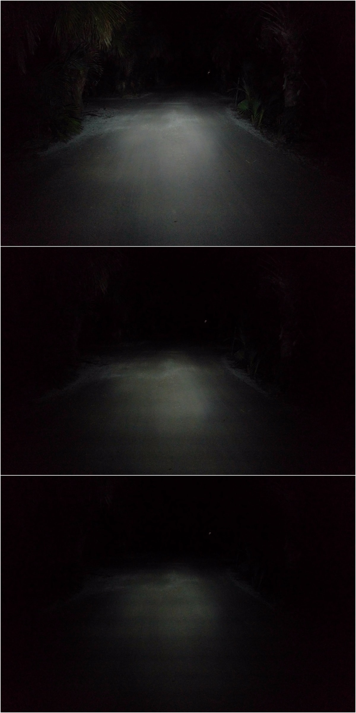 BINOREAL Radius F1 Brightness
