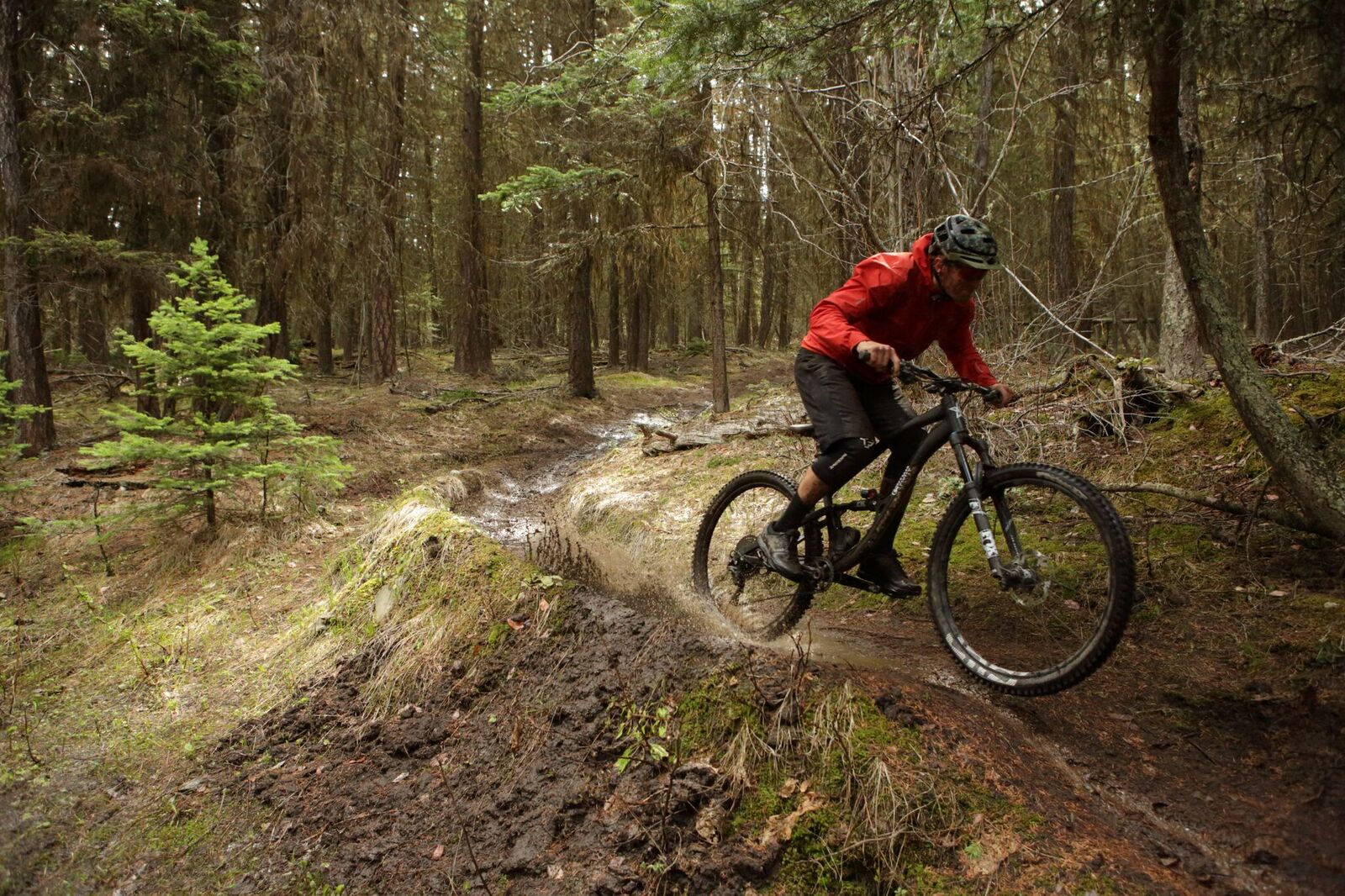 SDG Tellis dropper is durable, affordable, & serviceable to drop competition