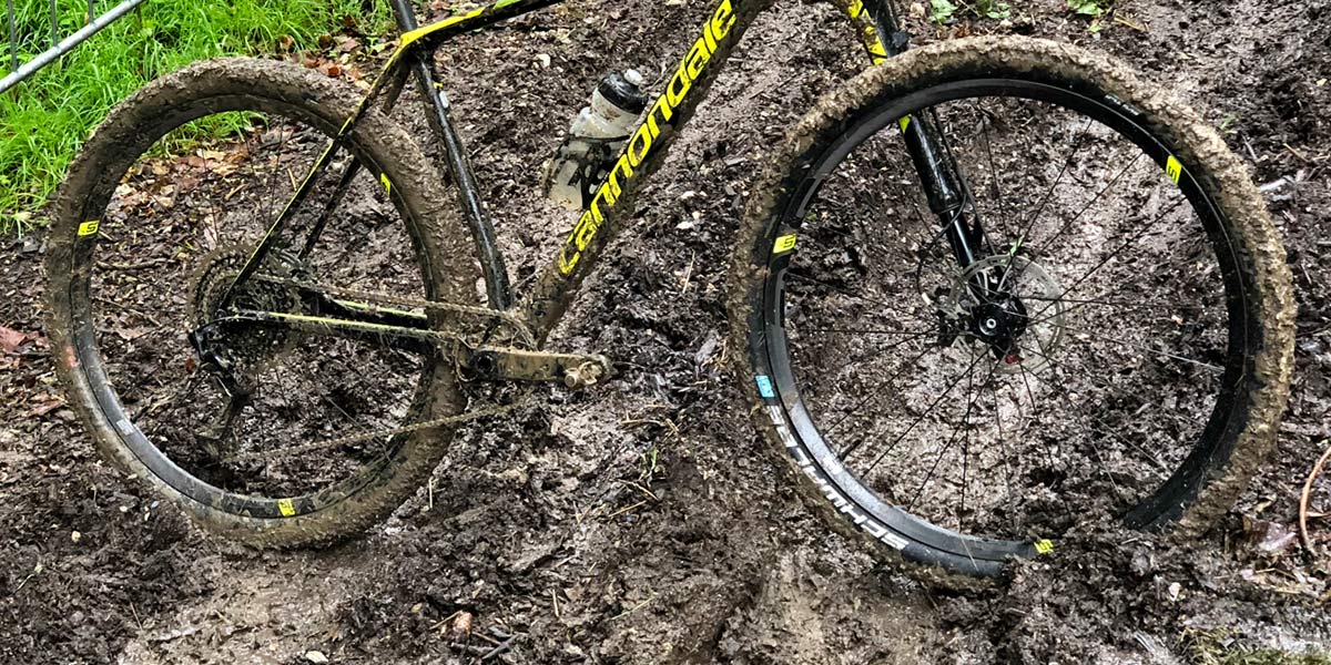 Schwalbe's Racing Ralph in the rear and Racing Ray in the front.