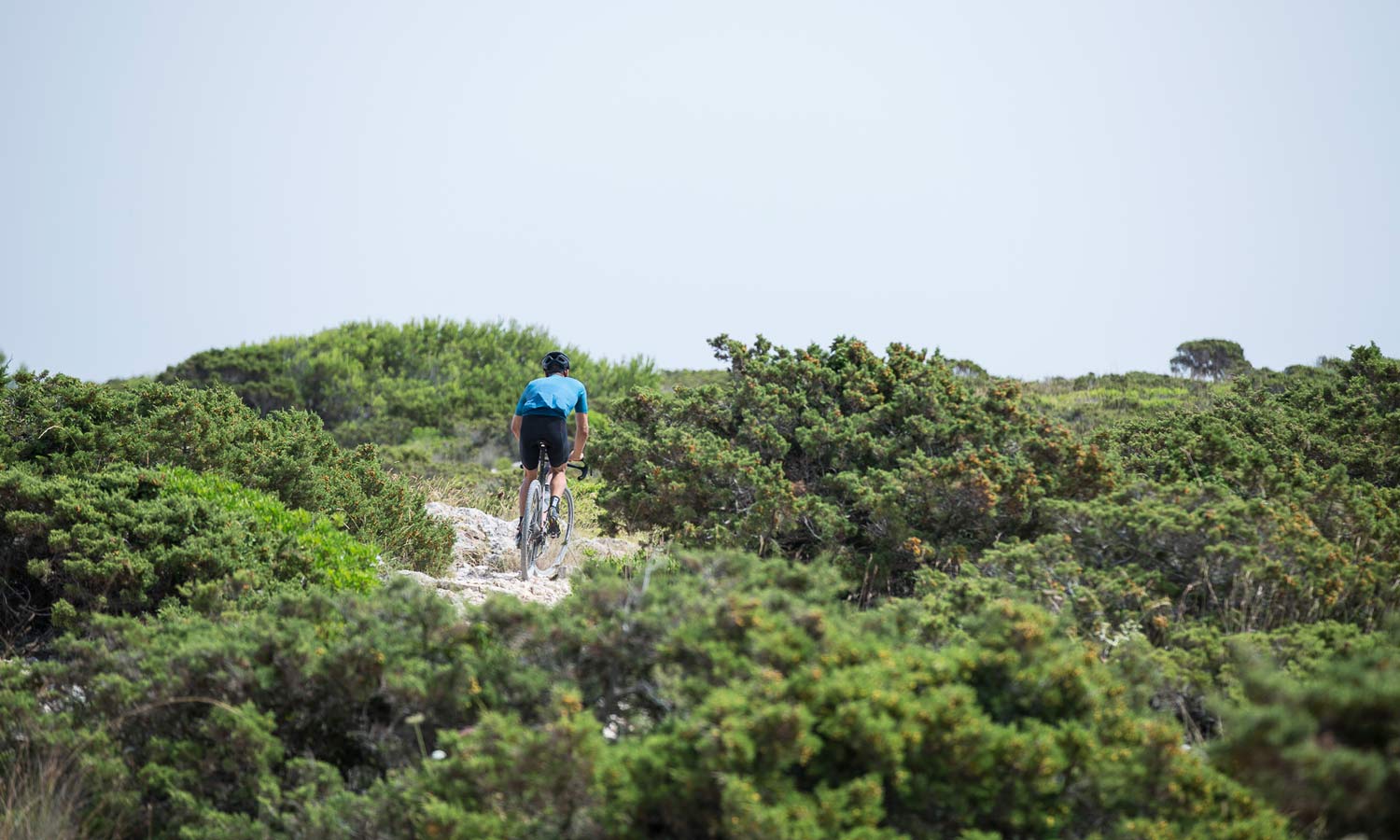 Friday Roundup: Win a SuperX or GX Eagle, ride Mallorca gravel, Tequila coffee & more!