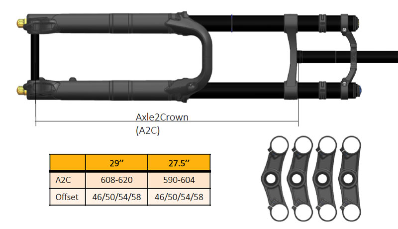 2019 Ohlins DH dual crown downhill race fork