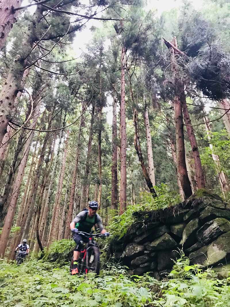 mountain biking nozawa onsen mtb trails in nagano japan with guide from compass house bike shop