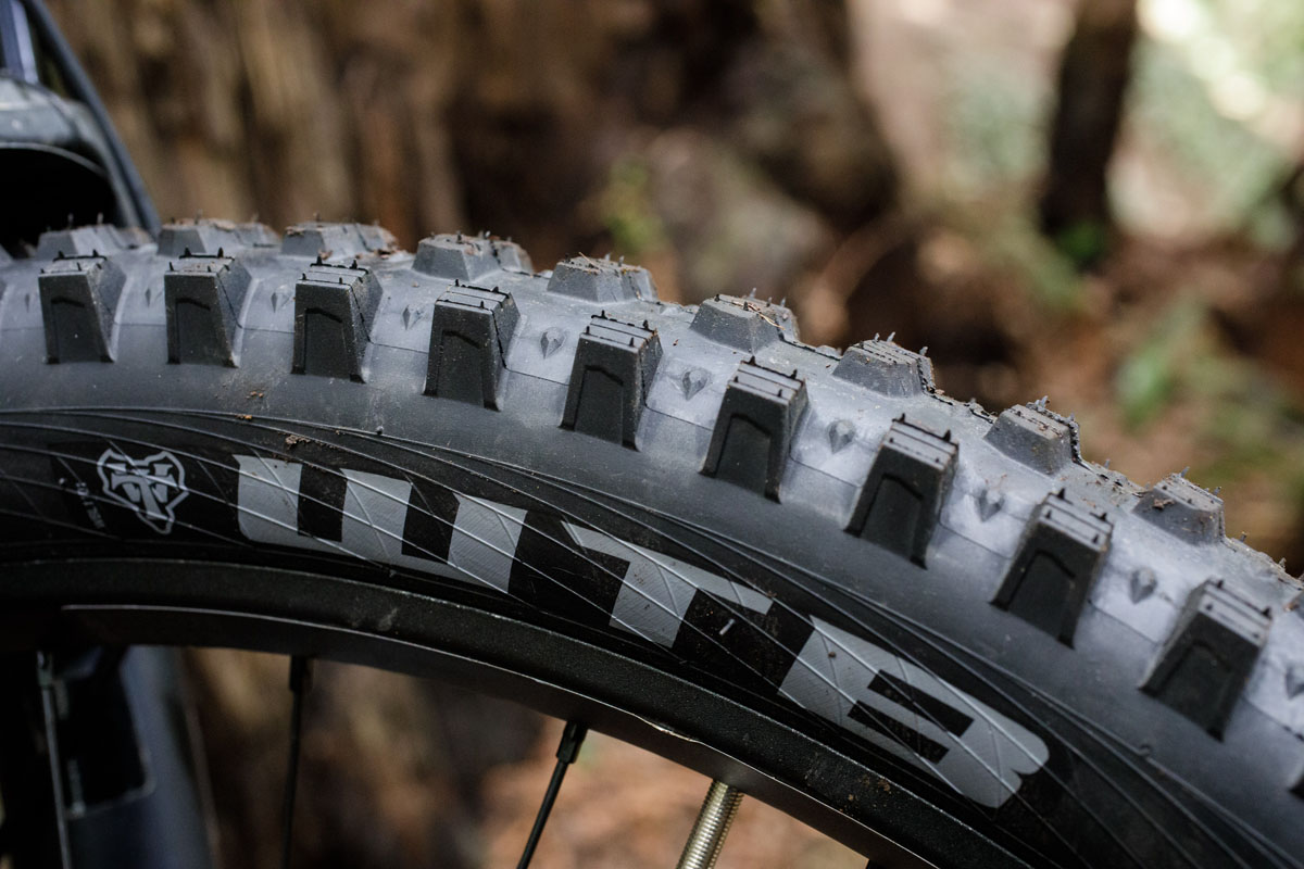 The Verdict is in: New spike tires from WTB grip in wet or loose terrain