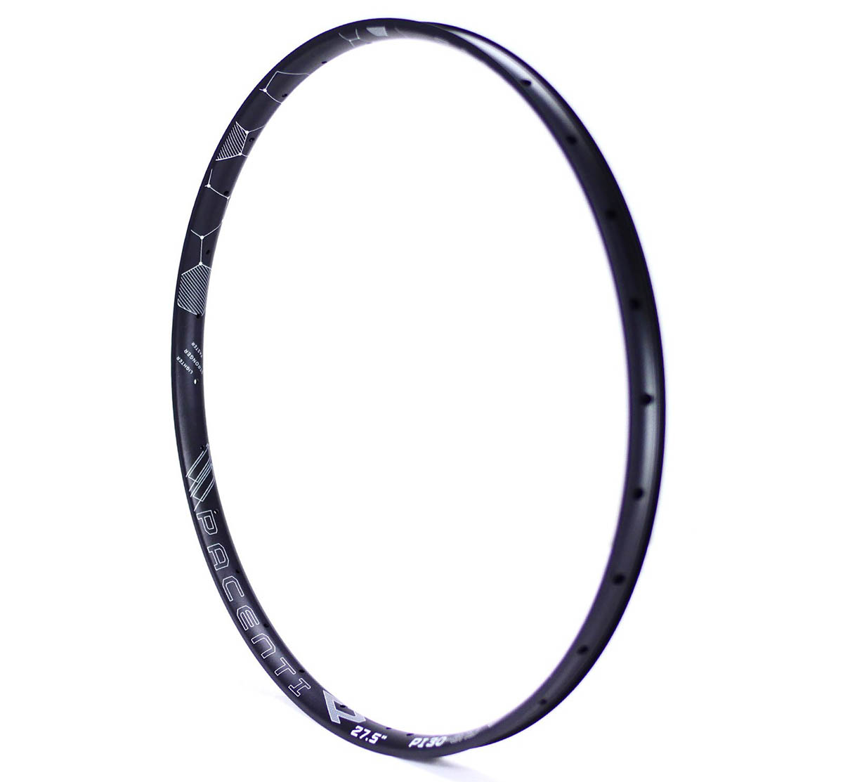 Pacenti PI30-END rim