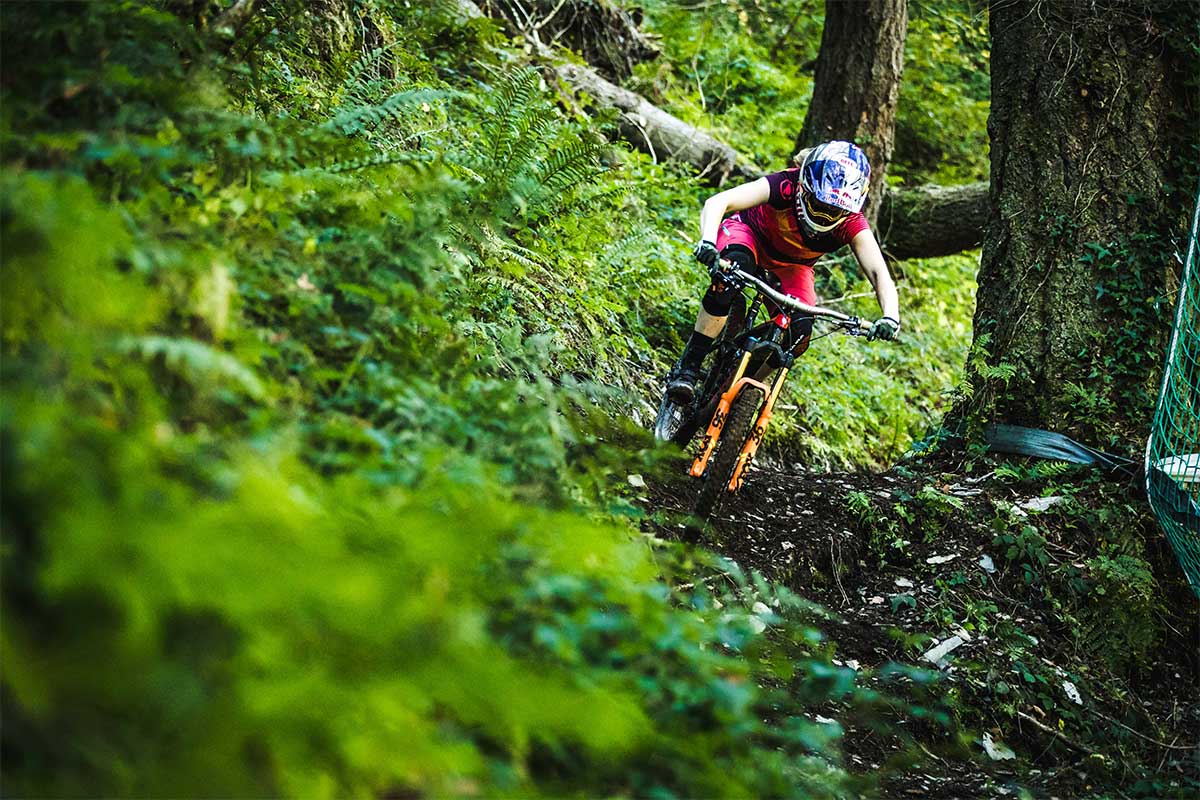 Dyfi Bike Park