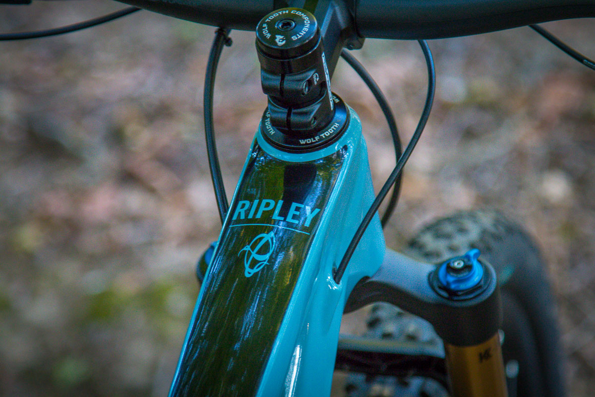 Dream Build: Ibis Ripley v4 gets the full Shimano XTR 1x12 treatment