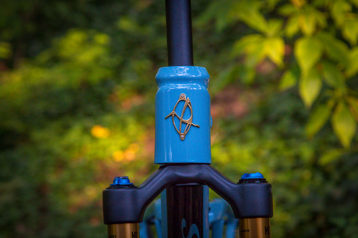 Dream Build: Ibis Ripley v4 gets the full Shimano XTR 1x12 treatment