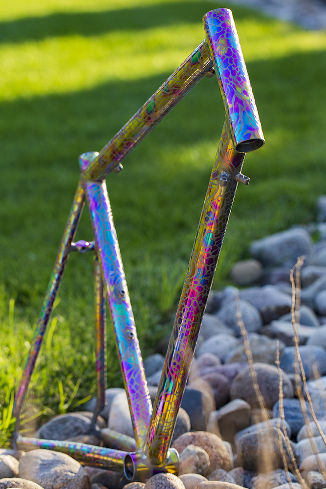 Julie Ann Pedalino, Philadelphia Bike Expo, Titanium ano frame