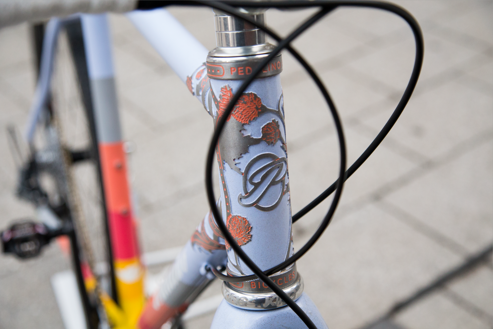 Julie Ann Pedalino, Philadelphia Bike Expo, thistle gravel bike,