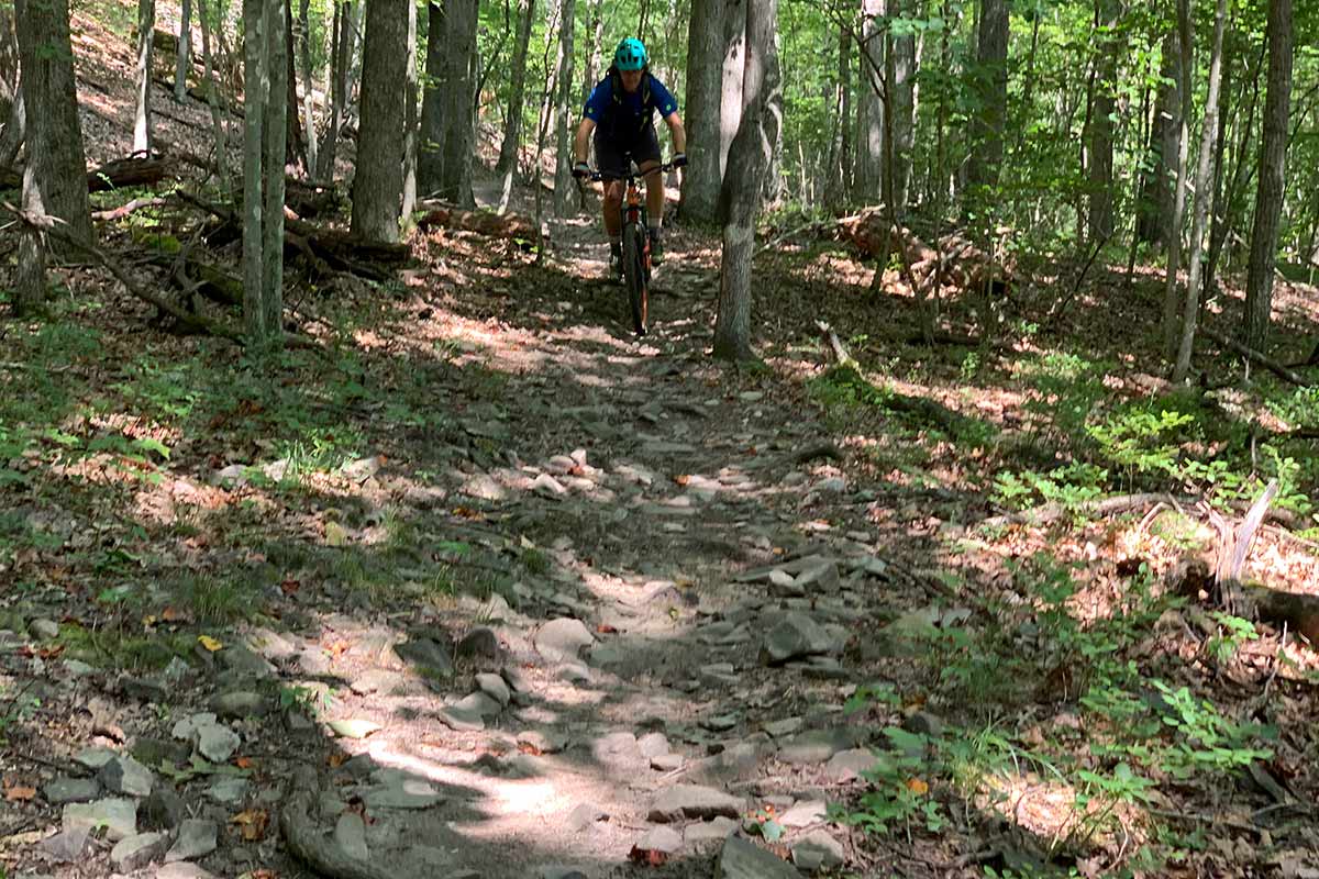 riding mountain bikes at carvins cove trails near roanoke virginia