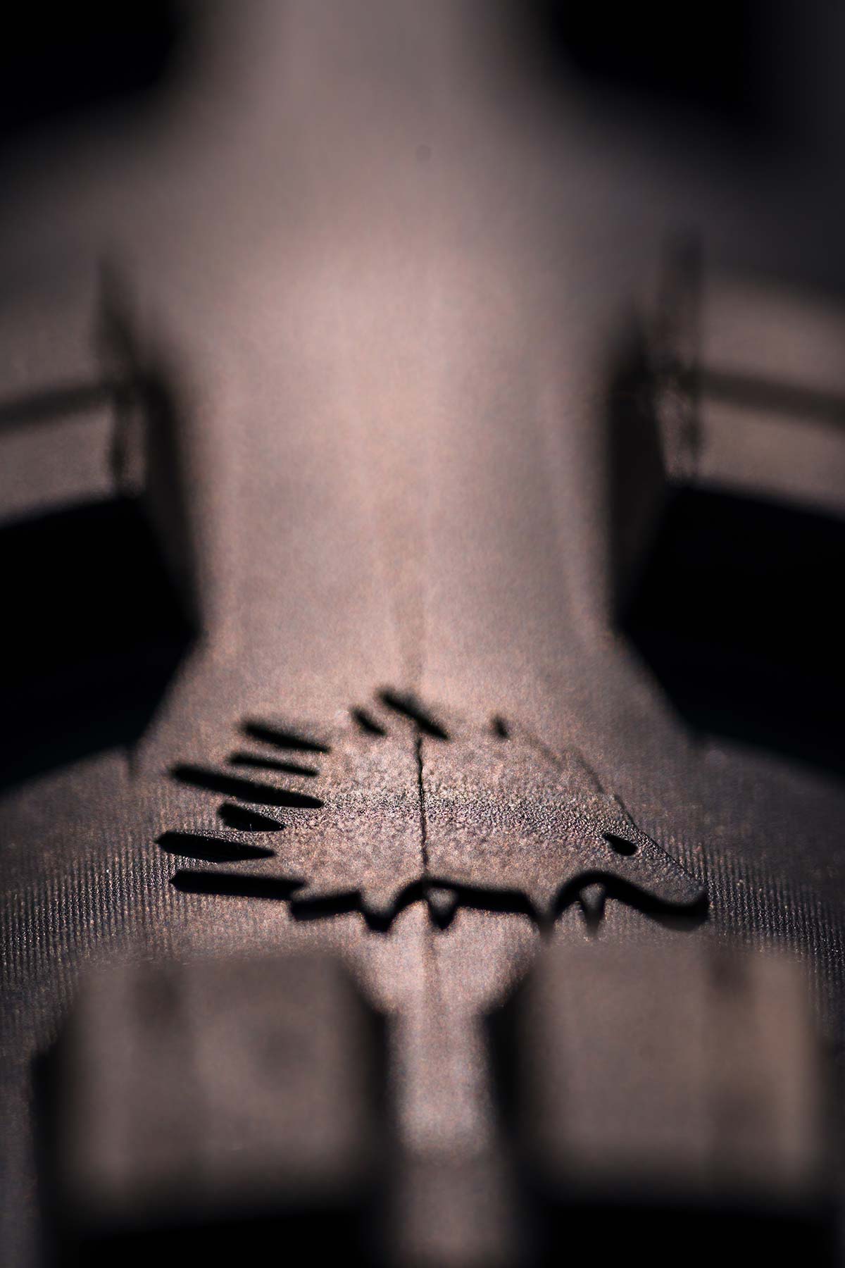 new dh tire has porcupine imprint in centre tread