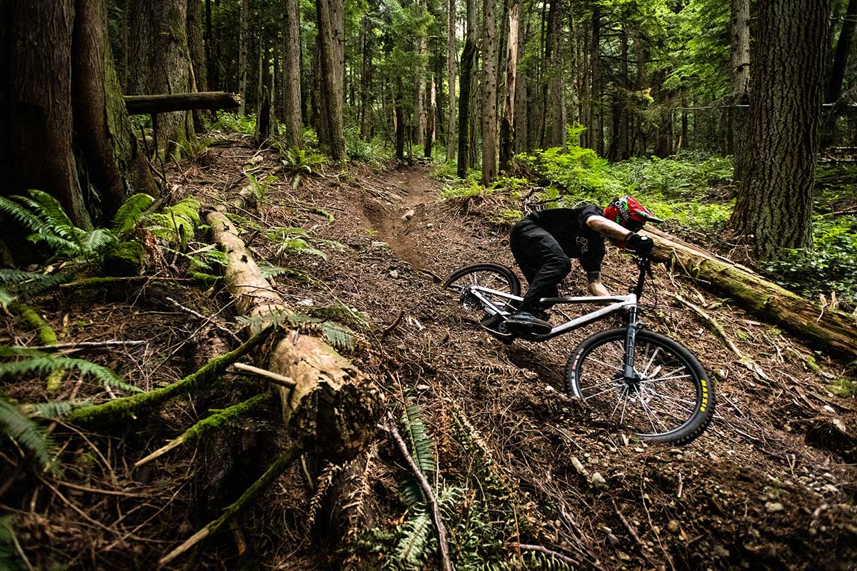 norco shore freeride bike proportional length chainstays