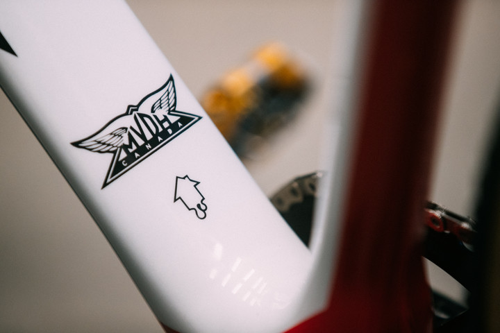 Michael Van Dem Ham Pro CX Bike check Frame details full bike Logo