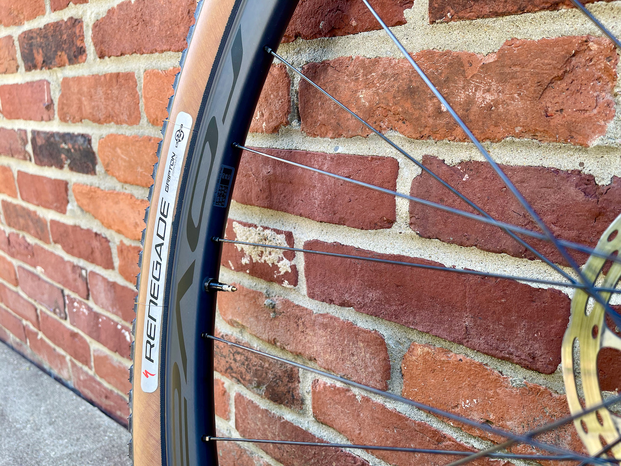 Specialized Control Carbon 29 Tire logo