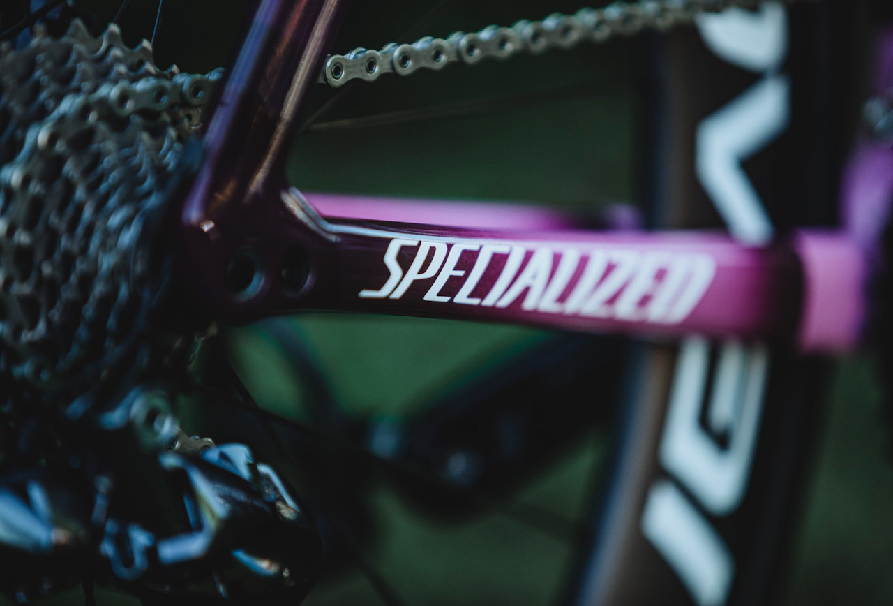 Peter Sagan Tarmac SL 7 Giro chainstay