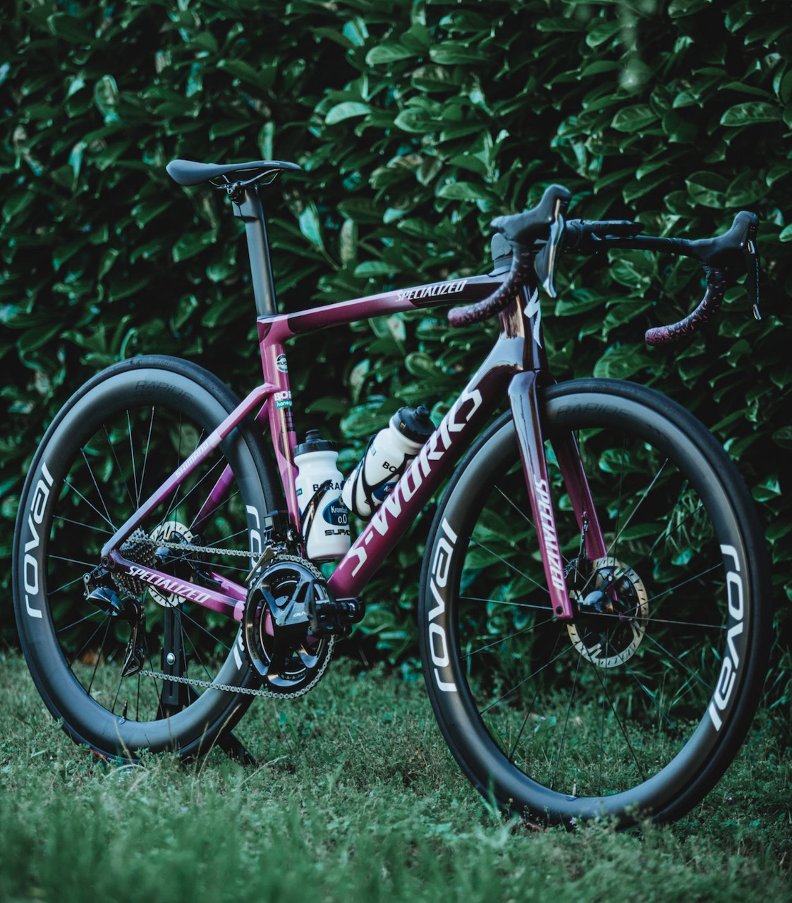 Peter Sagan Tarmac SL 7 Giro front view