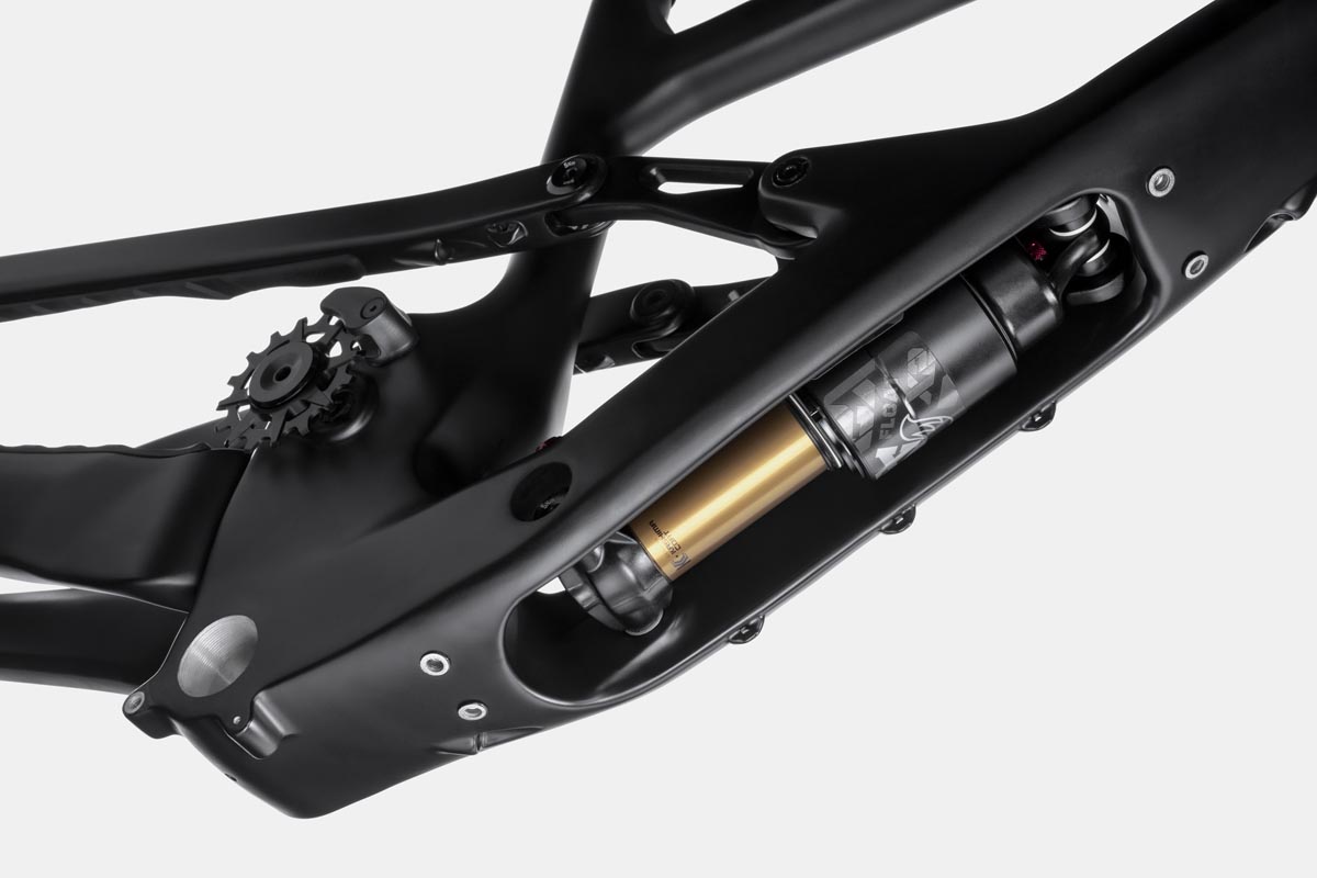Cannondale Jekyll gravity cavity open